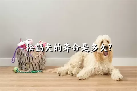 松鹤犬的寿命是多久?