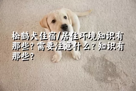 松鹤犬住宿/居住环境知识有那些？需要注意什么？知识有那些？