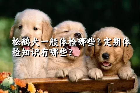 松鹤犬一般体检哪些？定期体检知识有哪些？