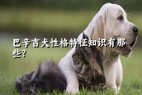 巴辛吉犬性格特征知识有那些？