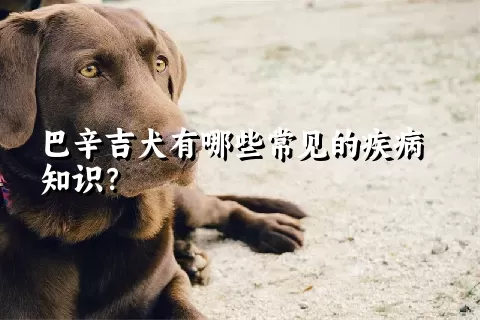 巴辛吉犬有哪些常见的疾病知识？