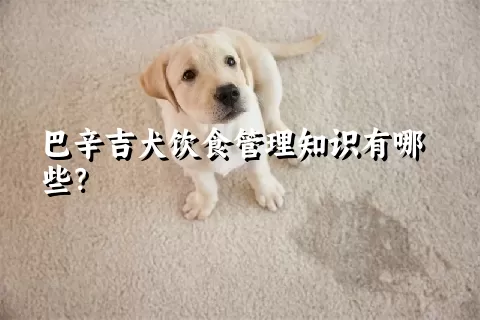 巴辛吉犬饮食管理知识有哪些？ 