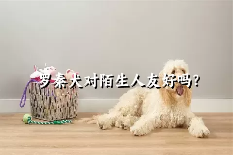 罗秦犬对陌生人友好吗？