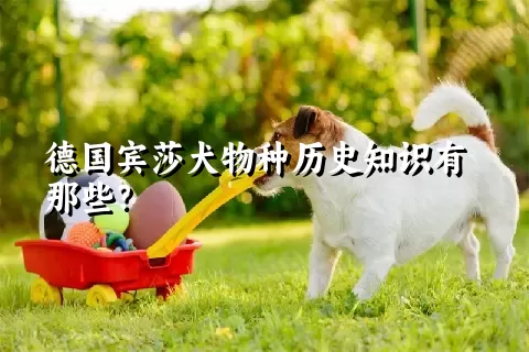 德国宾莎犬物种历史知识有那些？