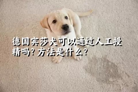 德国宾莎犬可以通过人工授精吗？方法是什么？