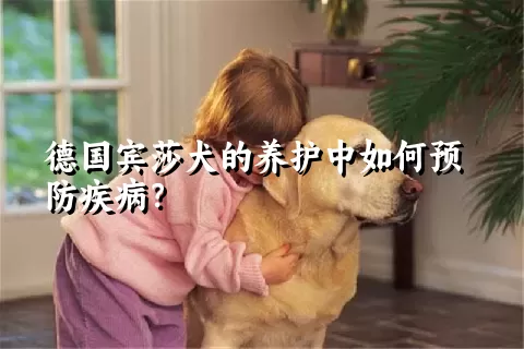 德国宾莎犬的养护中如何预防疾病？