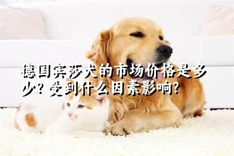 德国宾莎犬的市场价格是多少？受到什么因素影响？