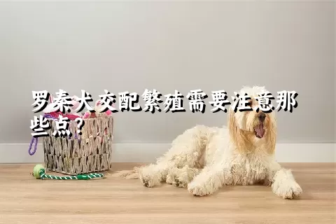 罗秦犬交配繁殖需要注意那些点？