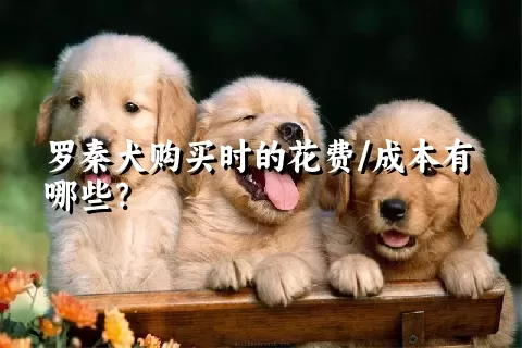 罗秦犬购买时的花费/成本有哪些？