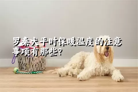 罗秦犬平时保暖温度的注意事项有那些？ 