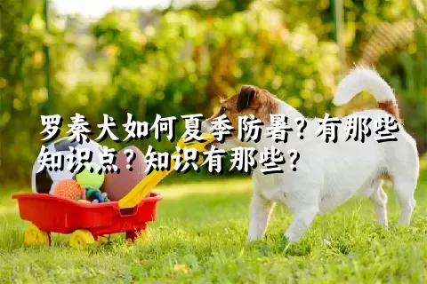 罗秦犬如何夏季防暑？有那些知识点？知识有那些？