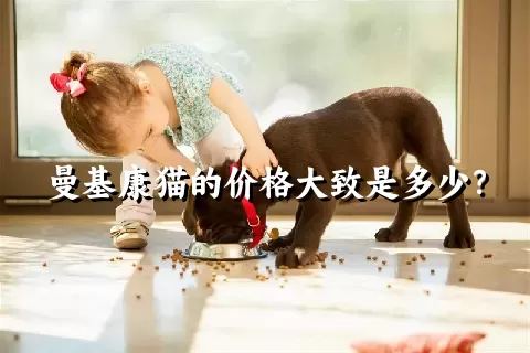 曼基康猫的价格大致是多少？