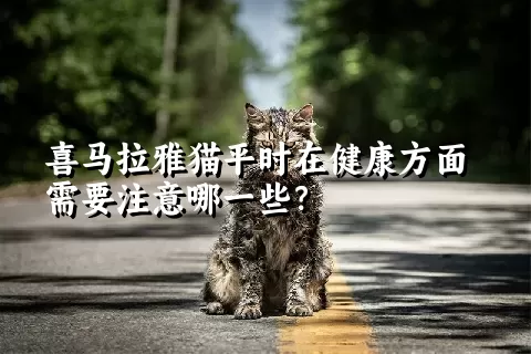 喜马拉雅猫平时在健康方面需要注意哪一些？