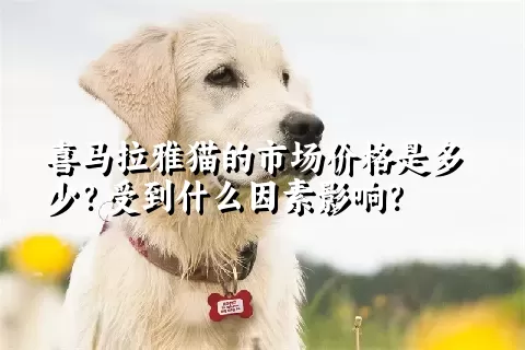 喜马拉雅猫的市场价格是多少？受到什么因素影响？