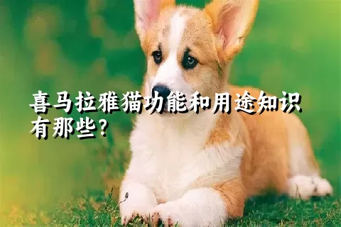 喜马拉雅猫功能和用途知识有那些？