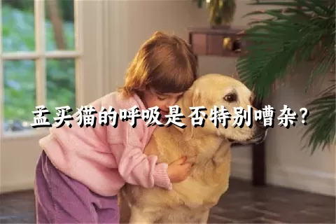 孟买猫的呼吸是否特别嘈杂？