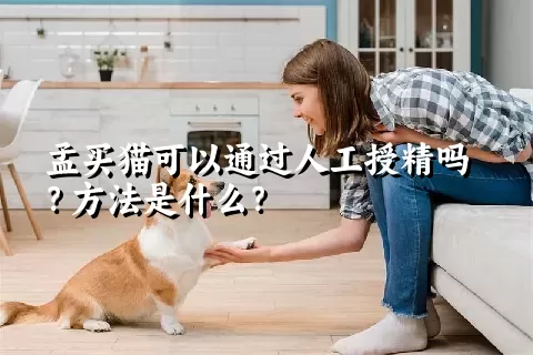 孟买猫可以通过人工授精吗？方法是什么？