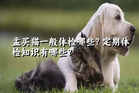 孟买猫一般体检哪些？定期体检知识有哪些？