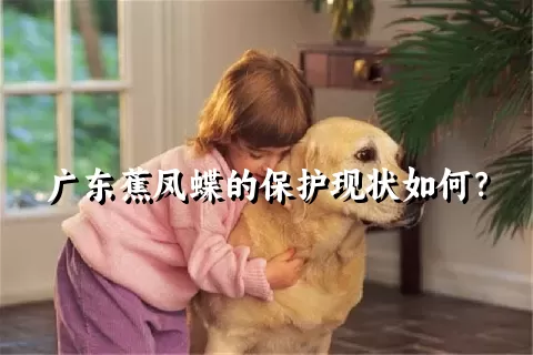 广东蕉凤蝶的保护现状如何？