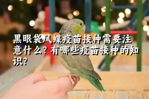 黑眼袋凤蝶疫苗接种需要注意什么？有哪些疫苗接种的知识？