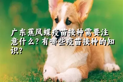 广东蕉凤蝶疫苗接种需要注意什么？有哪些疫苗接种的知识？