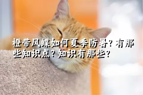 橙带凤蝶如何夏季防暑？有那些知识点？知识有那些？