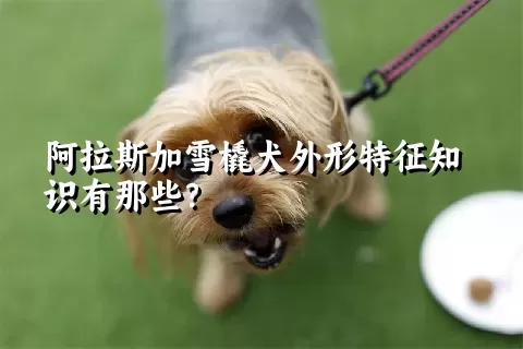 阿拉斯加雪橇犬外形特征知识有那些？