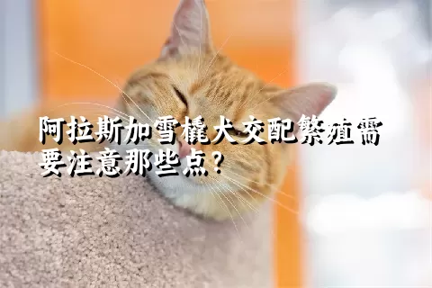 阿拉斯加雪橇犬交配繁殖需要注意那些点？