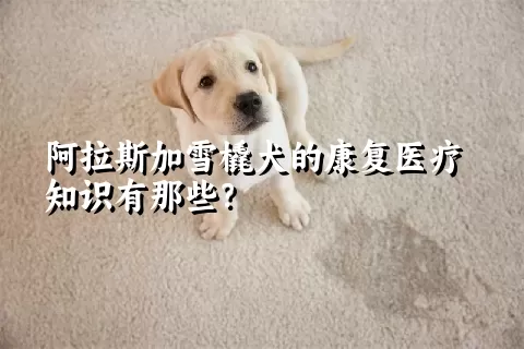 阿拉斯加雪橇犬的康复医疗知识有那些？