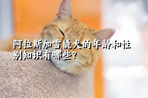 阿拉斯加雪橇犬的年龄和性别知识有哪些？