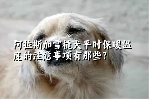 阿拉斯加雪橇犬平时保暖温度的注意事项有那些？ 