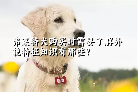 弗莱特犬购买时需要了解外貌特征知识有那些？  