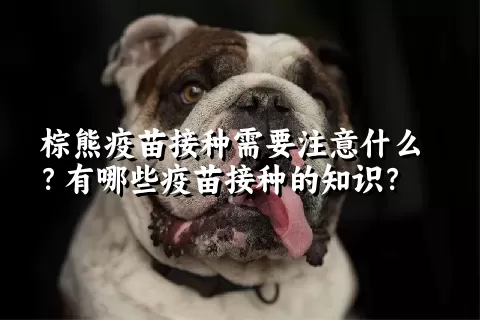 棕熊疫苗接种需要注意什么？有哪些疫苗接种的知识？