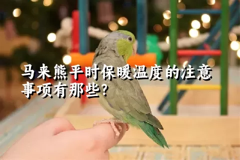 马来熊平时保暖温度的注意事项有那些？ 