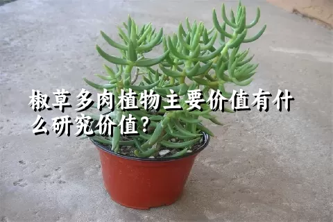 椒草多肉植物主要价值有什么研究价值？