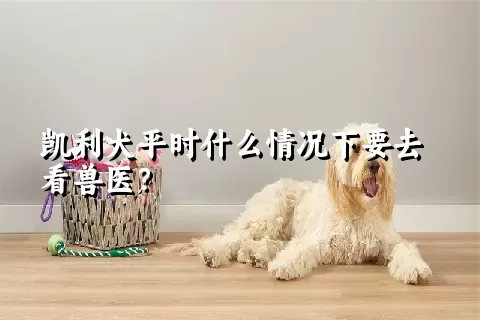 凯利犬平时什么情况下要去看兽医？ 