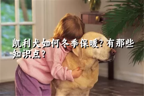 凯利犬如何冬季保暖？有那些知识点？