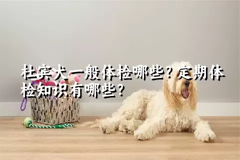 杜宾犬一般体检哪些？定期体检知识有哪些？