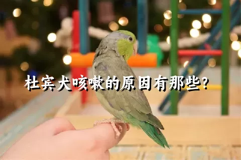 杜宾犬咳嗽的原因有那些？ 