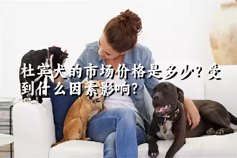 杜宾犬的市场价格是多少？受到什么因素影响？