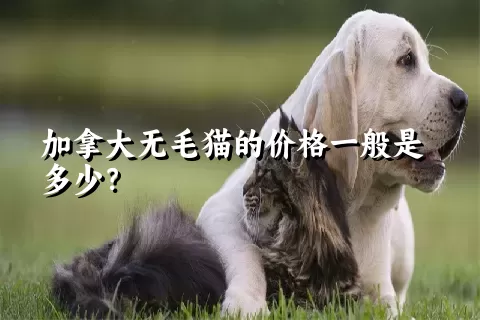 加拿大无毛猫的价格一般是多少？