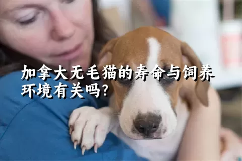 加拿大无毛猫的寿命与饲养环境有关吗？