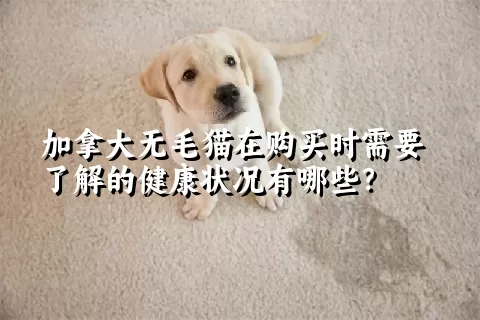 加拿大无毛猫在购买时需要了解的健康状况有哪些？