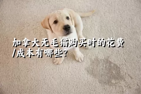 加拿大无毛猫购买时的花费/成本有哪些？