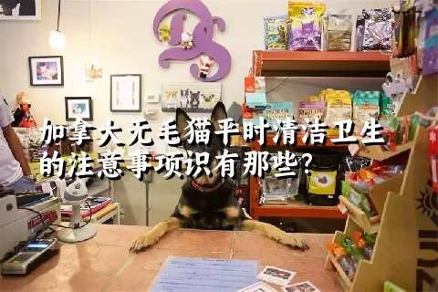 加拿大无毛猫平时清洁卫生的注意事项识有那些？ 