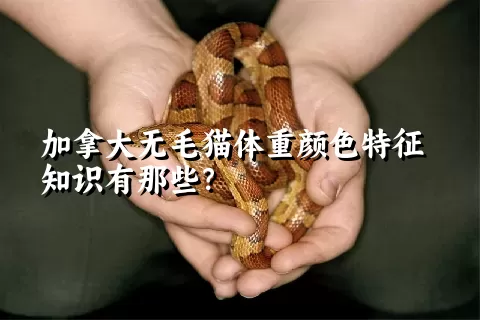 加拿大无毛猫体重颜色特征知识有那些？