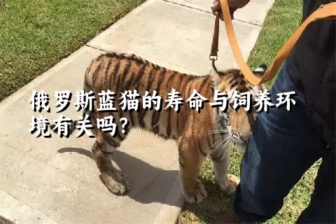 俄罗斯蓝猫的寿命与饲养环境有关吗？