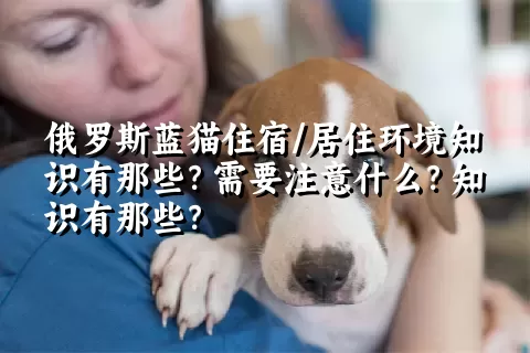 俄罗斯蓝猫住宿/居住环境知识有那些？需要注意什么？知识有那些？