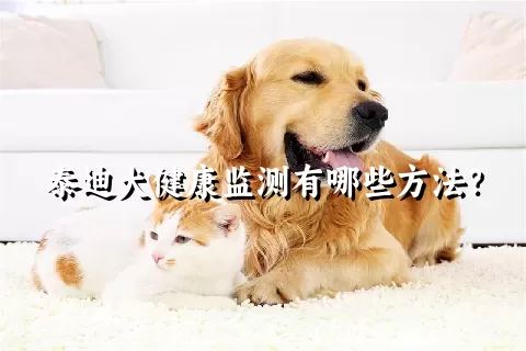 泰迪犬健康监测有哪些方法？