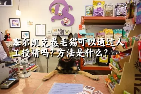 塞尔凯克卷毛猫可以通过人工授精吗？方法是什么？